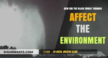 Black Friday Tornado's Environmental Impact: Destruction, Recovery, and Lessons Learned