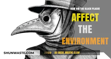 Black Plague's Environmental Impact: A Historical Analysis of Ecological Changes
