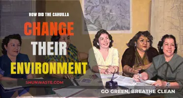 Cahuilla's Environmental Transformation: Adapting and Shaping Their Natural World