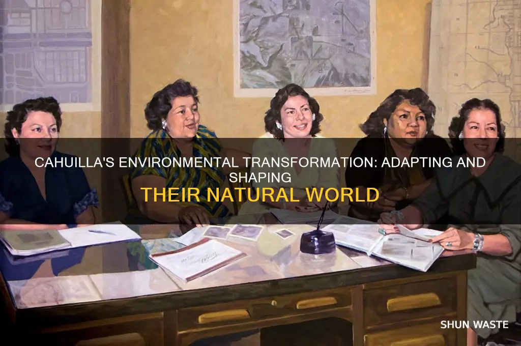 how did the cahuilla change their environment