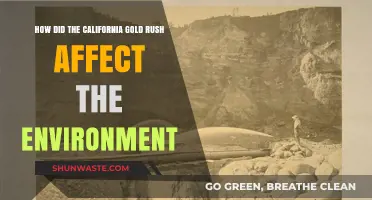 California Gold Rush: Environmental Impacts and Lasting Ecological Changes