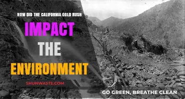California Gold Rush: Environmental Consequences and Lasting Ecological Impacts