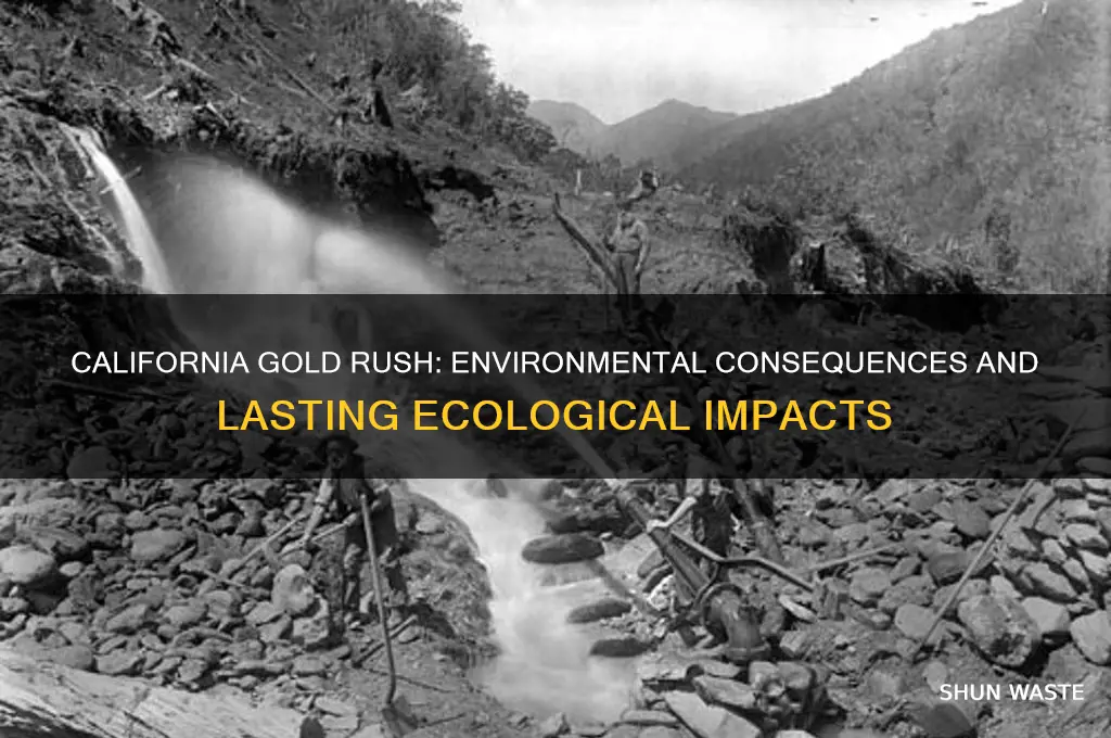 how did the california gold rush impact the environment
