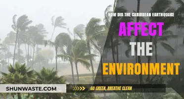 Caribbean Earthquake's Environmental Impact: Devastation, Recovery, and Resilience Explored