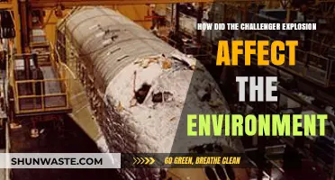 Challenger Explosion's Environmental Impact: Uncovering the Aftermath and Legacy