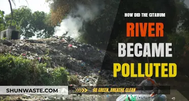 The Citarum River's Pollution: A Troubling Journey