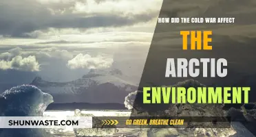 Cold War's Arctic Legacy: Environmental Impacts and Lasting Consequences