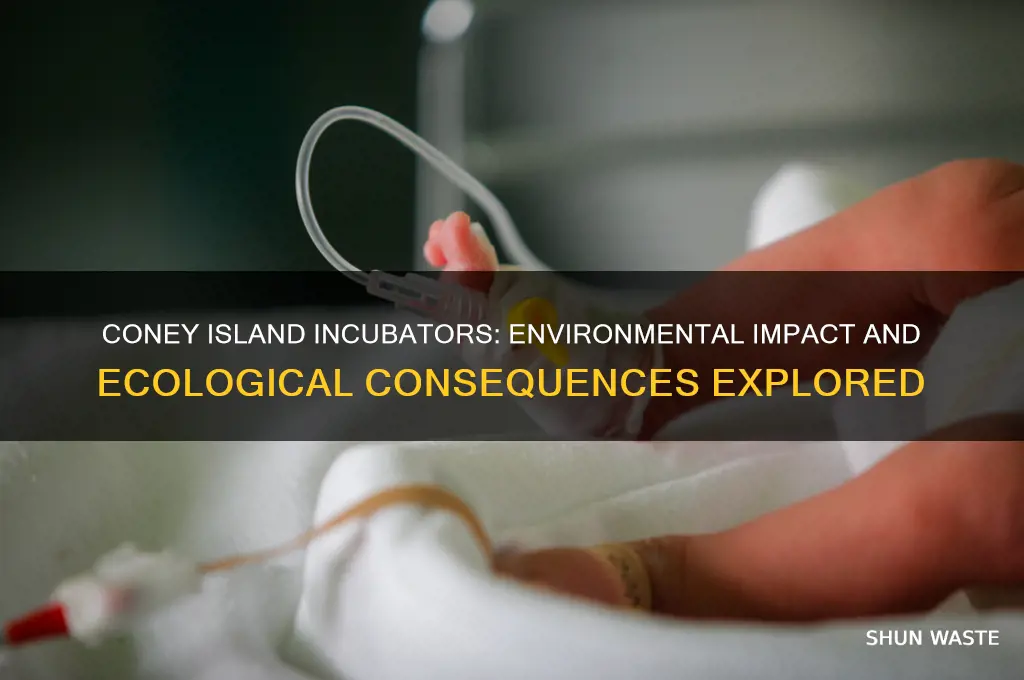 how did the coney island incubators affect the environment
