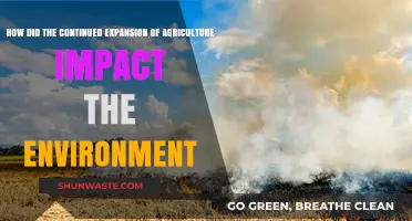 Agriculture's Growth: Environmental Consequences of Expanding Farmlands Explored
