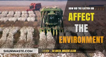 Cotton Gin's Environmental Impact: Transforming Landscapes and Ecosystems