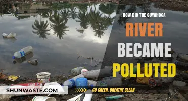 The Cuyahoga River: A History of Industrial Pollution