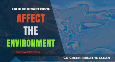 Deepwater Horizon's Devastating Environmental Impact: A Comprehensive Analysis