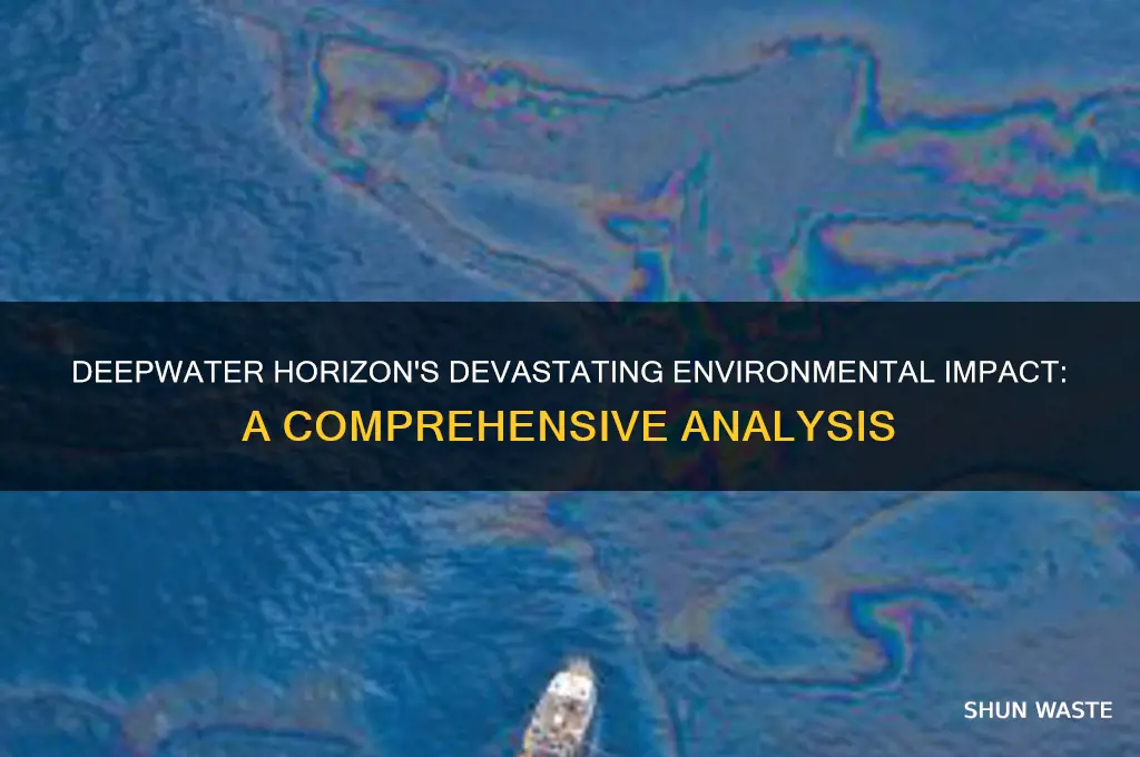 how did the deepwater horizon affect the environment