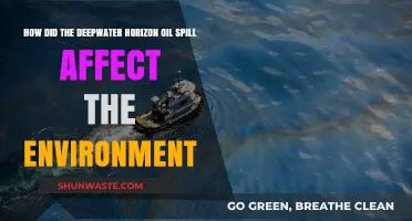 Deepwater Horizon Spill: Devastating Environmental Impacts and Long-Term Effects