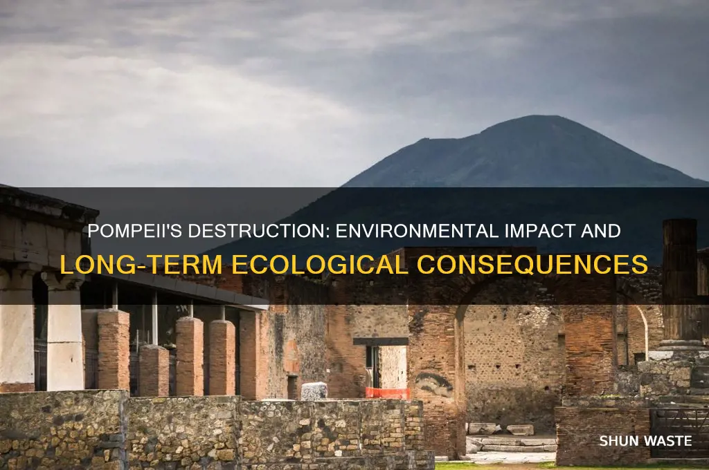 how did the destruction of pompeii affect the environment