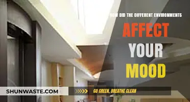 Exploring How Diverse Environments Shape and Influence Your Mood