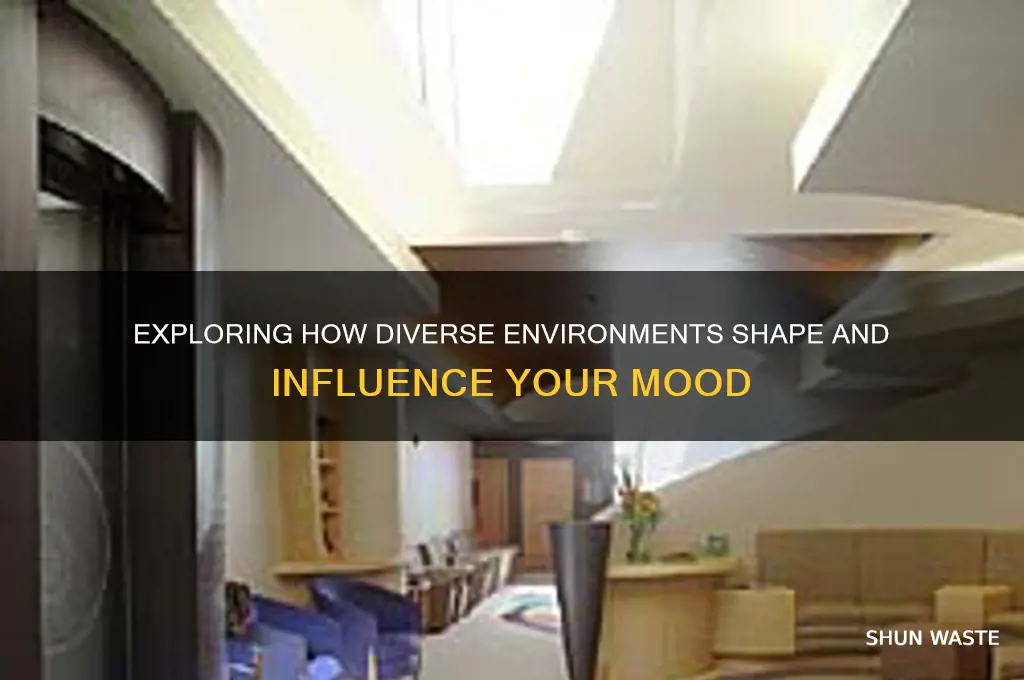 how did the different environments affect your mood