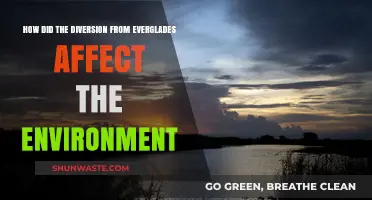Everglades Diversion: Environmental Impacts and Ecosystem Disruption Explored