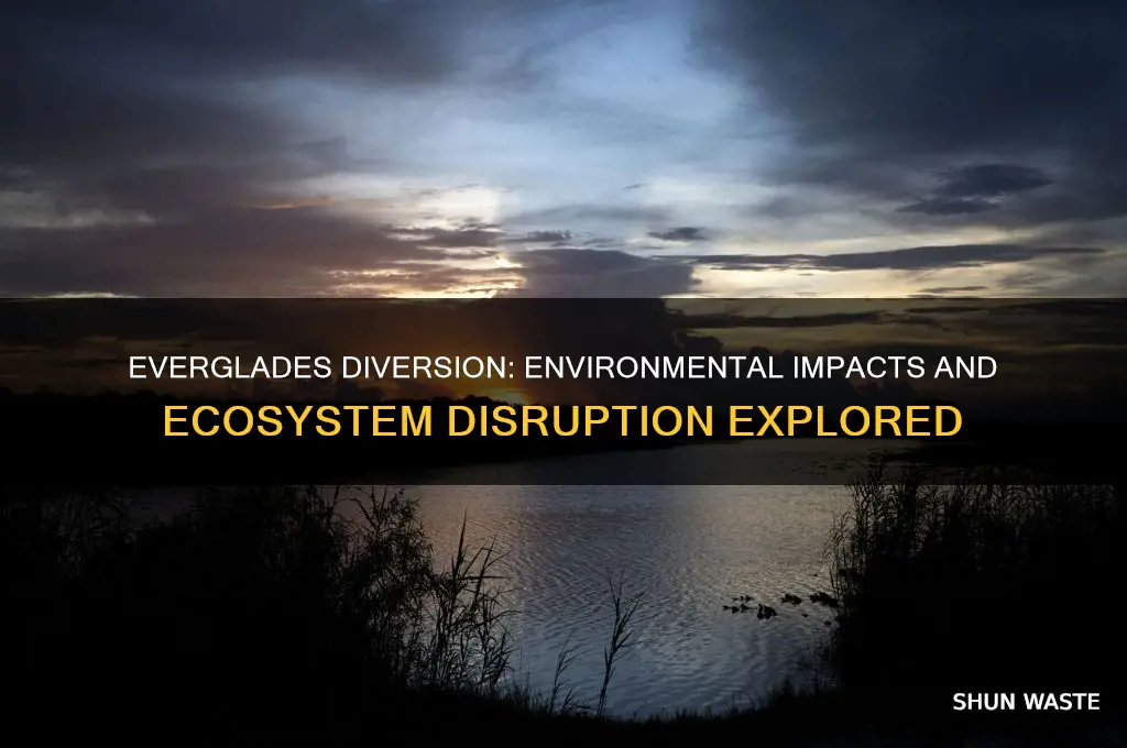 how did the diversion from everglades affect the environment