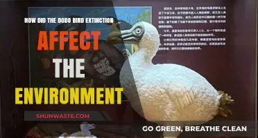 The Dodo's Demise: Environmental Impacts of a Species' Extinction