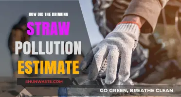 Drinking Straws: A Pollution Estimate