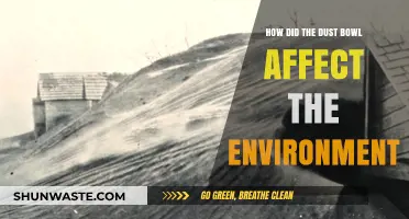 Dust Bowl's Devastating Impact on Ecosystems and Environmental Health