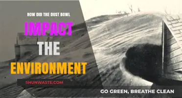 Dust Bowl's Devastating Environmental Legacy: Soil, Air, and Ecosystems Transformed
