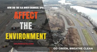 Elk River Chemical Spill: Environmental Impact and Long-Term Consequences