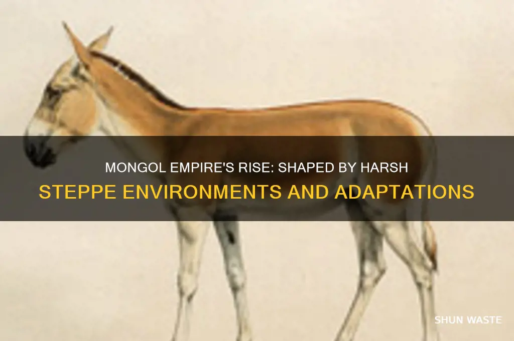 how did the environement affect the mongols