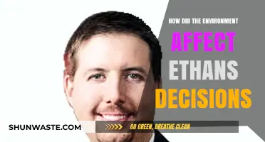 Environmental Influences: Shaping Ethan's Choices and Life-Altering Decisions
