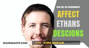 Environmental Influences: Shaping Ethan's Choices and Life Decisions