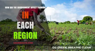 Environmental Impact on Regional Farming Practices and Adaptations