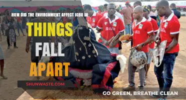 Environmental Forces Shaping Igbo Culture in Things Fall Apart