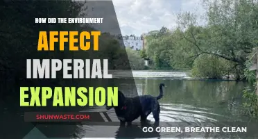 Environmental Factors Shaping Imperial Expansion: A Historical Analysis