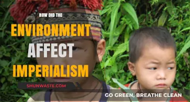 Environmental Factors Shaping Imperialism: A Historical Analysis of Global Dominance