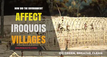 Environmental Influences on Iroquois Village Locations and Sustainability