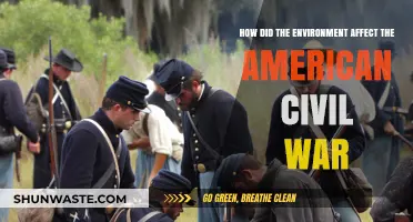 Environmental Factors Shaping the American Civil War's Outcome and Legacy