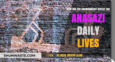 Environmental Shaping: The Anasazi's Daily Life and Survival Strategies