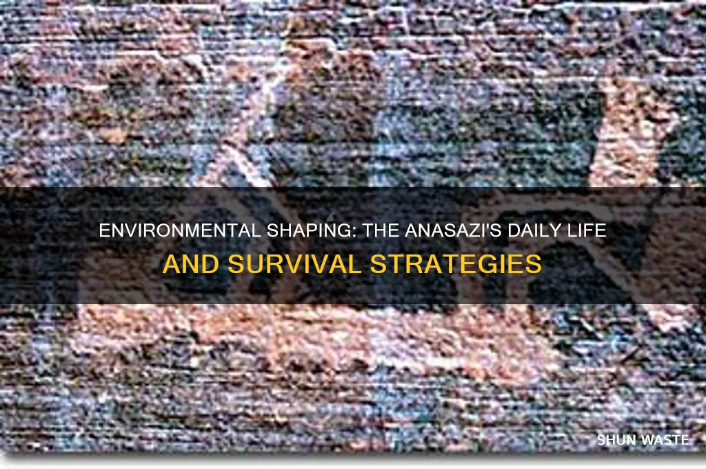 how did the environment affect the anasazi daily lives