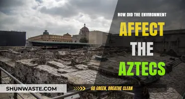 Environmental Influences on Aztec Civilization: Adaptation and Survival Strategies