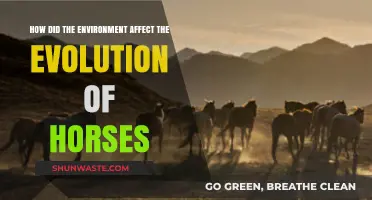 Environmental Forces Shaping Horse Evolution: A Historical Perspective