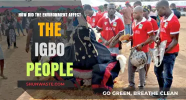 Environmental Influences on Igbo Culture, Traditions, and Daily Life