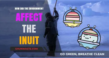 How Arctic Environment Shaped Inuit Culture and Survival Strategies