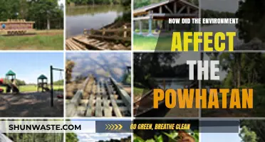 Environmental Shaping of Powhatan Life: Climate, Land, and Survival Strategies