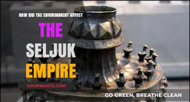 Environmental Factors Shaping the Rise and Fall of the Seljuk Empire