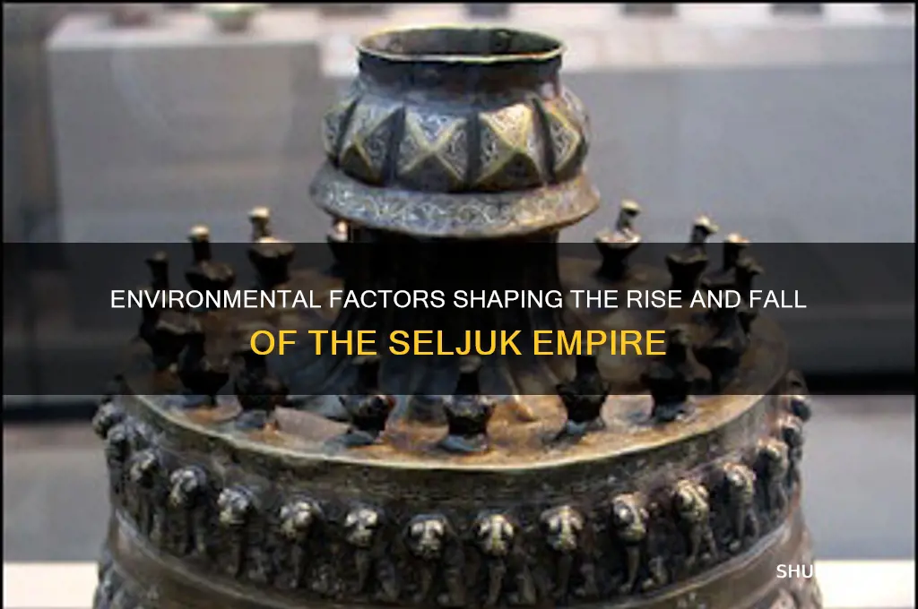 how did the environment affect the seljuk empire