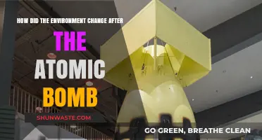 Atomic Aftermath: Environmental Shifts Post-Bomb Detonation and Recovery