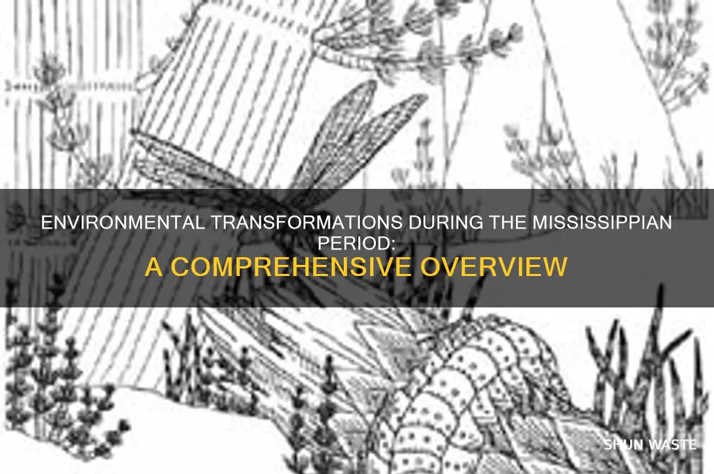 how did the environment change during mississippian period