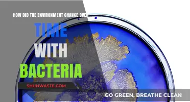 Bacterial Evolution: Shaping Earth's Environment Through Time and Adaptation