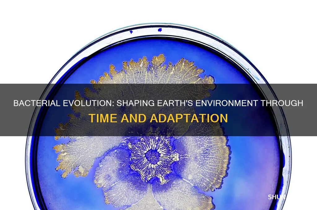 how did the environment change over time with bacteria